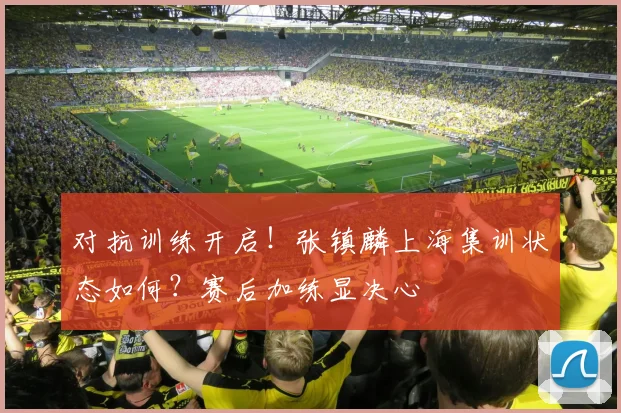 对抗训练开启！张镇麟上海集训状态如何？赛后加练显决心