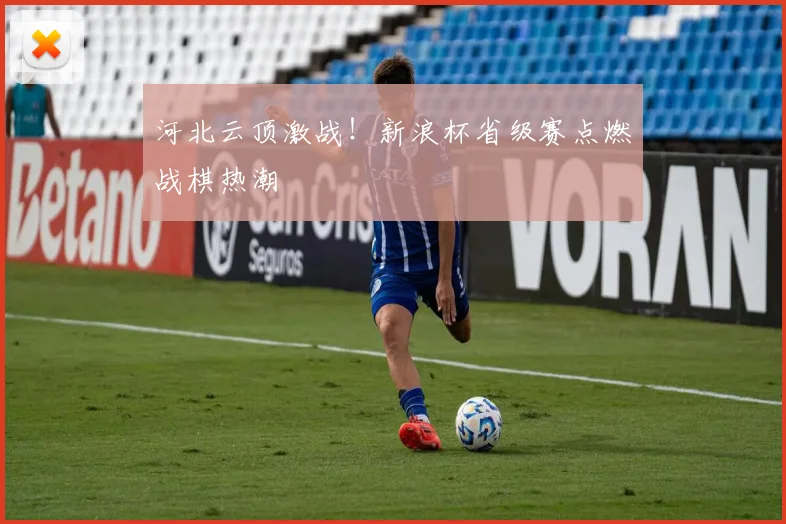 河北云顶激战！新浪杯省级赛点燃战棋热潮