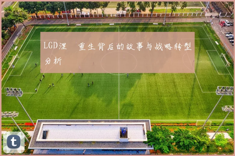 LGD涅槃重生背后的故事与战略转型分析